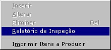 producao_relatorioinspecaoacesso1